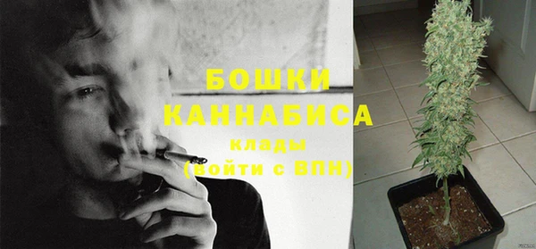 гашик Майский
