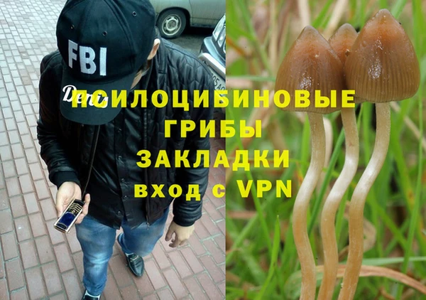 гашик Майский
