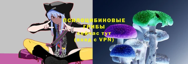 кристаллы Гусь-Хрустальный