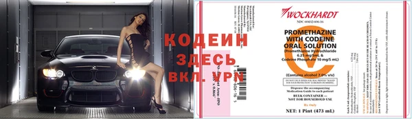 гашик Майский
