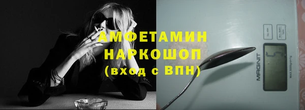 гашик Майский