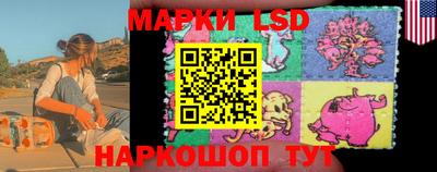 Альфа ПВП Аргун