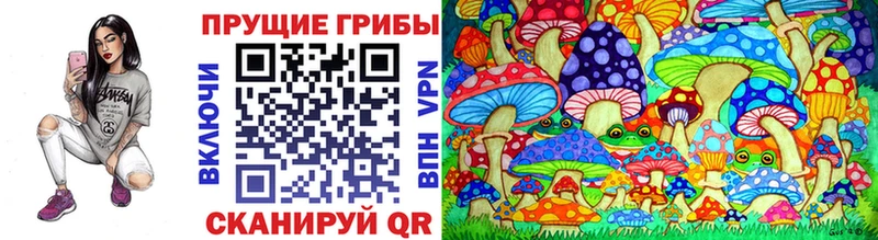 купить  цена  Новомосковск  Псилоцибиновые грибы мухоморы 