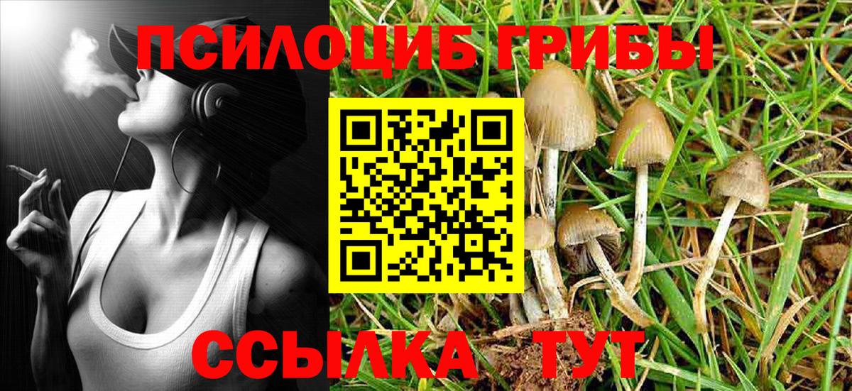 Галлюциногенные грибы GOLDEN TEACHER  что такое наркотик  Новомосковск 