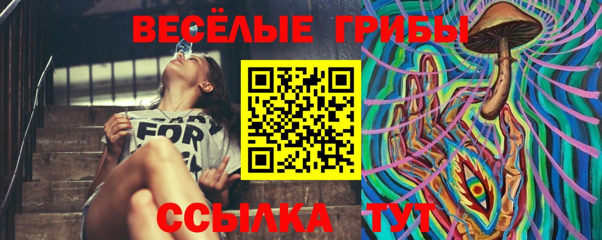 Псилоцибиновые грибы MAGIC MUSHROOMS Новомосковск